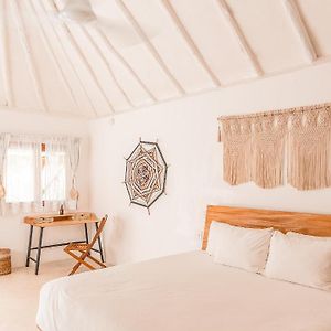 Suite con Cama King